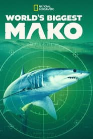 World's Biggest Mako