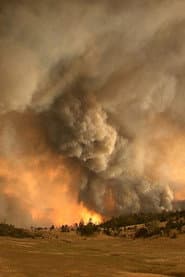 The West is Burning