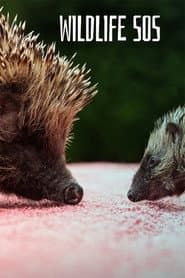Wildlife SOS