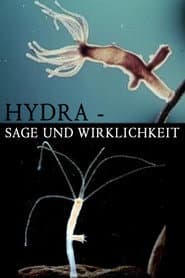 Hydra - Legend and Reality