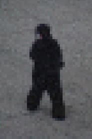 Gorilla Gorilla