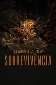 Symphony of Survival