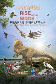 Dino Birds