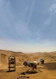Summer in Arad