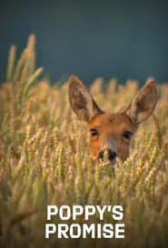 Poppy's Promise: Secret Life in a Cornfield