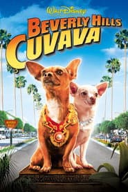 Beverly Hills Chihuahua