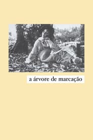 A Árvore de Marcação