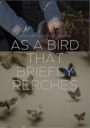 as a bird that briefly perches
