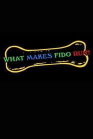 What Makes Fido Run?