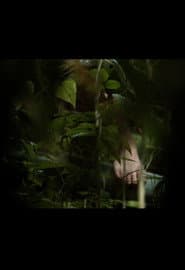 In A Grove