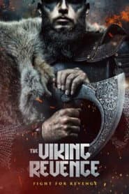 The Viking Revenge