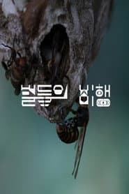 Hive