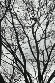 Tree Limbs
