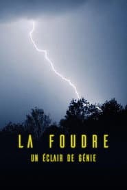 La foudre, un éclair de génie