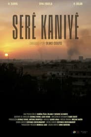 Serê Kaniyê