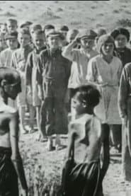 The Story of Seven-Hundred Polish Children