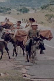Ciganos do Nordeste