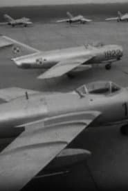 The Pilots