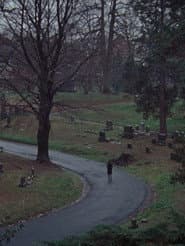 The Funeral