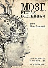 Brain. Second Universe