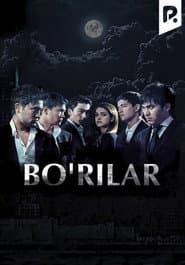 Bo'rilar