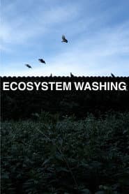 Ecosystem Washing
