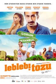 Leblebi Tozu