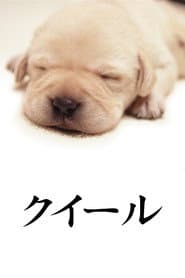 Quill: The Life of a Guide Dog