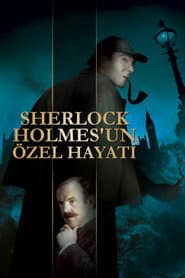 The Private Life of Sherlock Holmes