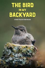 The Bird in My Backyard