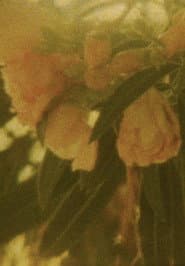 Seasons/Patterns