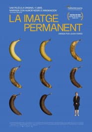 The Permanent Picture
