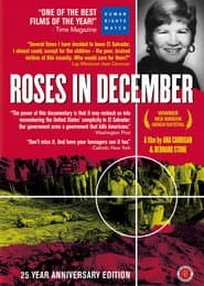 Roses in December