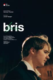 Bris