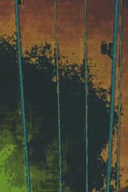 Power Lines
