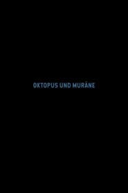 Octopus and Moray