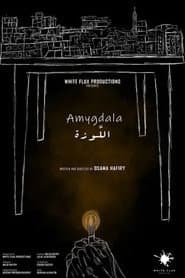 Amygdala