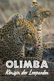 The Leopard Legacy