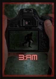 3:AM