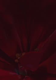 Flowerbed