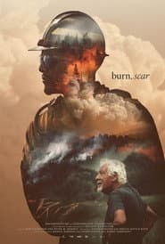 burn, scar