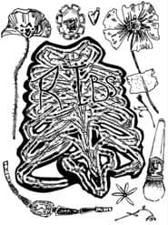 Ribs