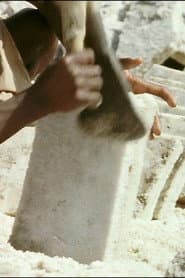 Salt