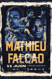 Wilkens Mathieu vs. Esquiva Falcao