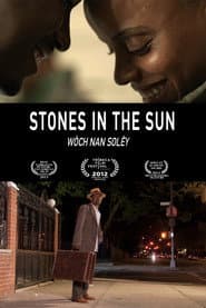 Stones in the Sun