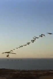 The Ultra Geese
