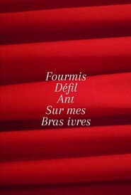 Fourmis défilant sur mes bras ivres.