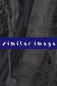 Similar Image