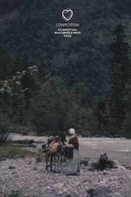 Gold Rush