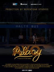 Ayo Pulang